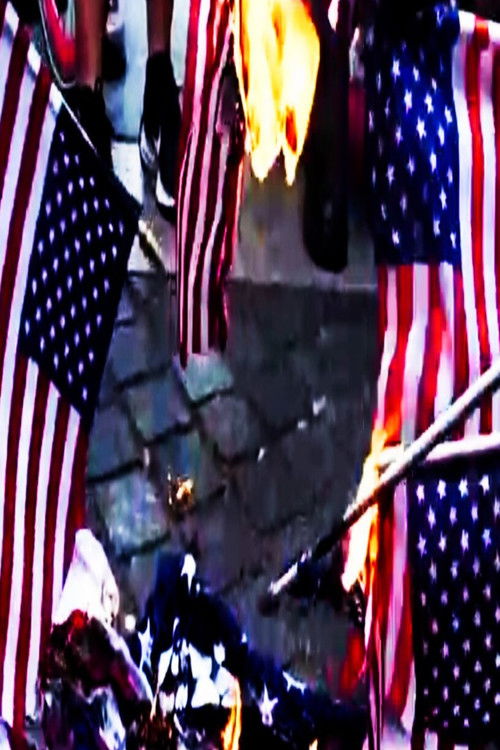 Naughty America: Guns & Stripes (2025) poster