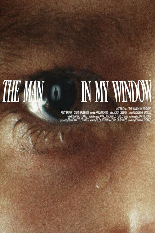 The Man In My Window poster
