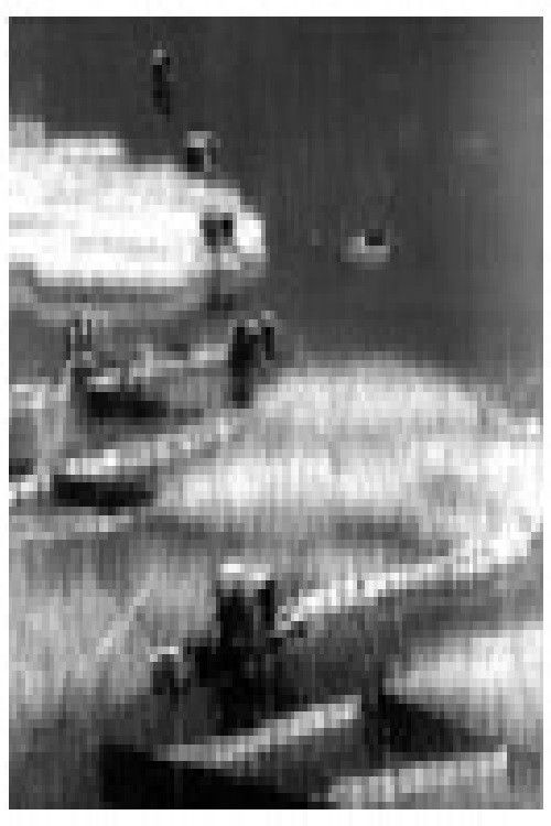 Дојранско езеро (1961) poster