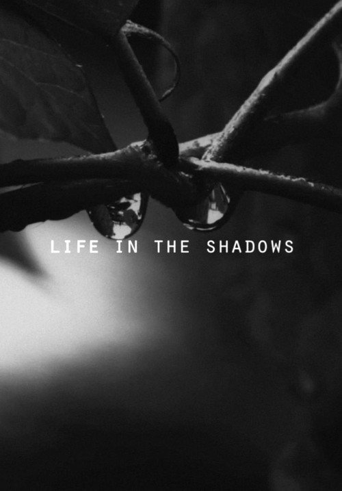 Life in the Shadows (2018) poster