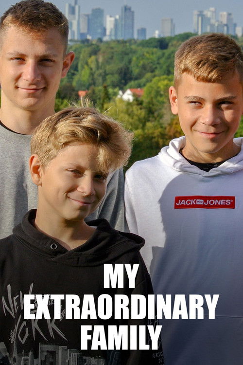 Meine alles außer gewöhnliche Familie (2021) poster