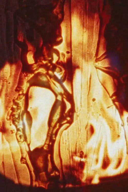 Friendly Fire (2003) poster