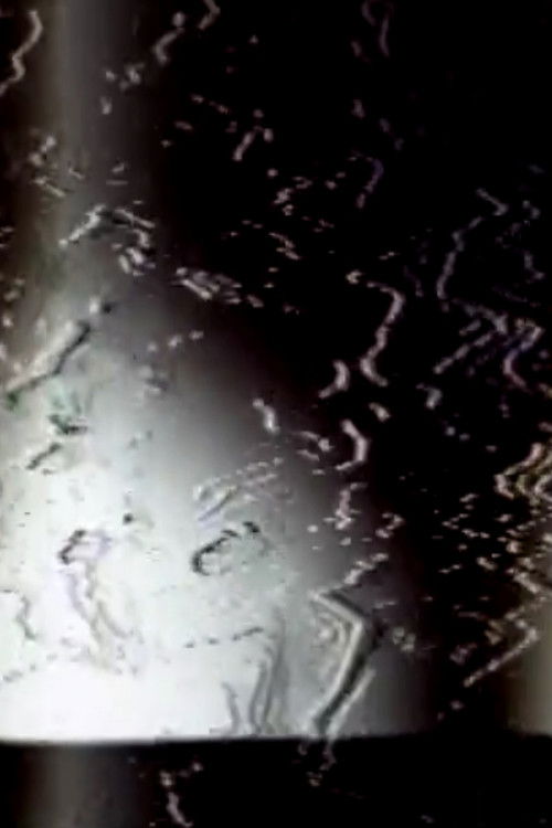 Cetacean (1976) poster