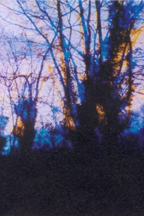 Sensitométrie VI (1976) poster