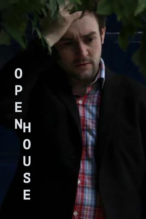 Open House (2013) poster