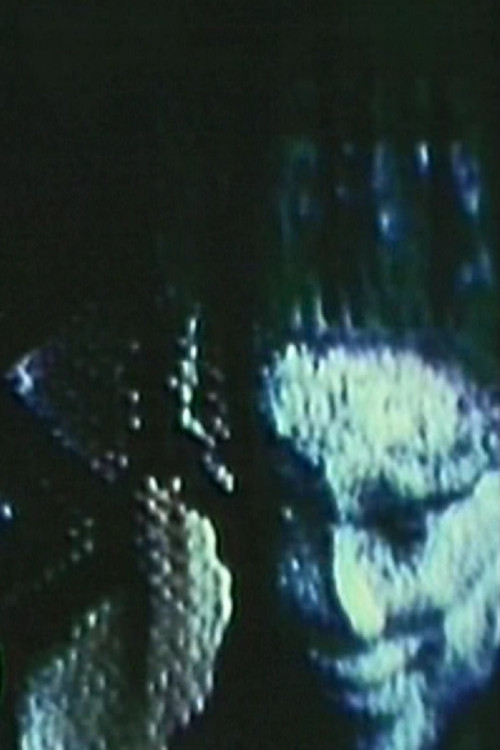 You Can’t Keep A Good Snake Down (2000) poster