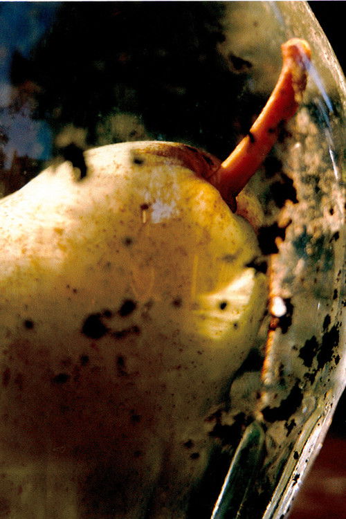 Prisoner Pair (2008) poster