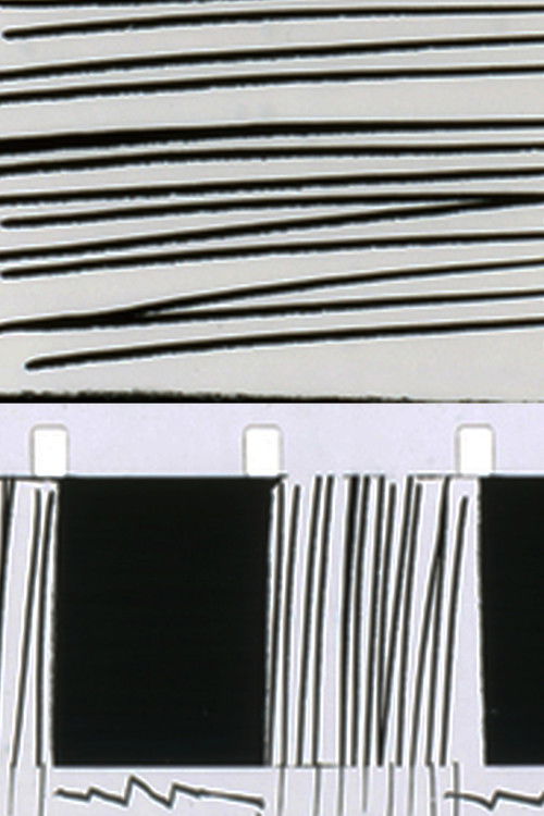 Process of Elimination (2012) poster