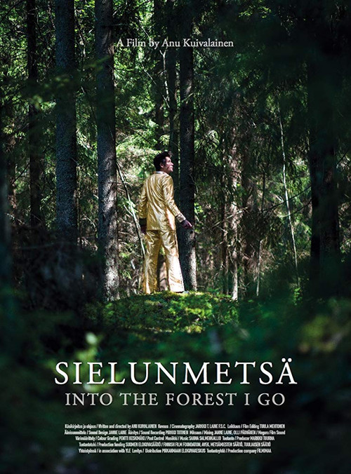 Sielunmetsä (2017) poster