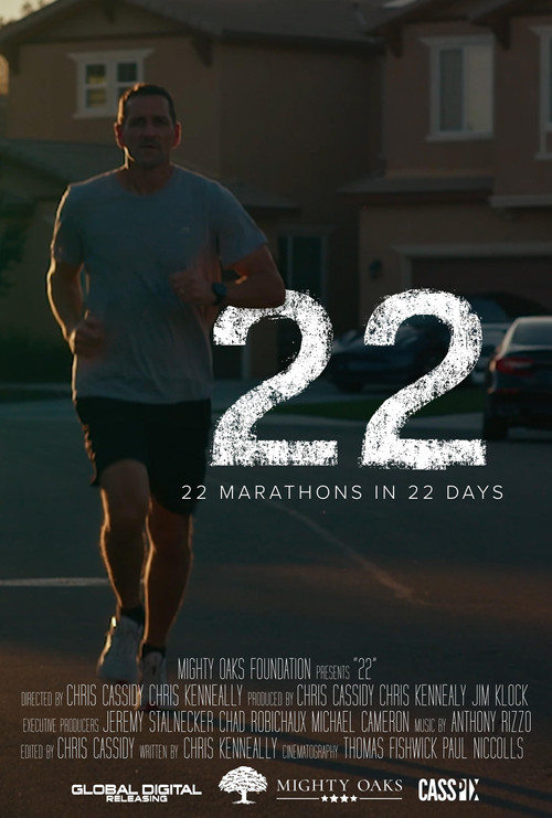 22 (2025) poster