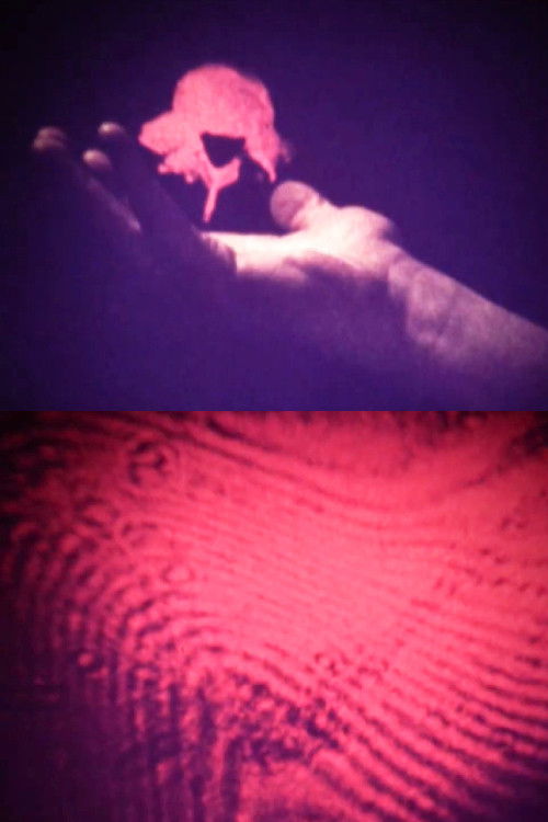 Visual Alchemy (1973) poster