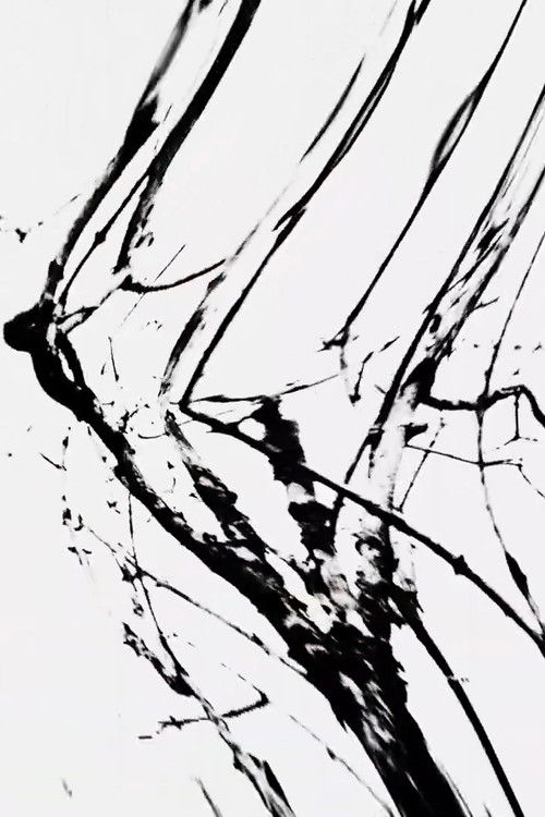 Everything Comes From A Tree poster