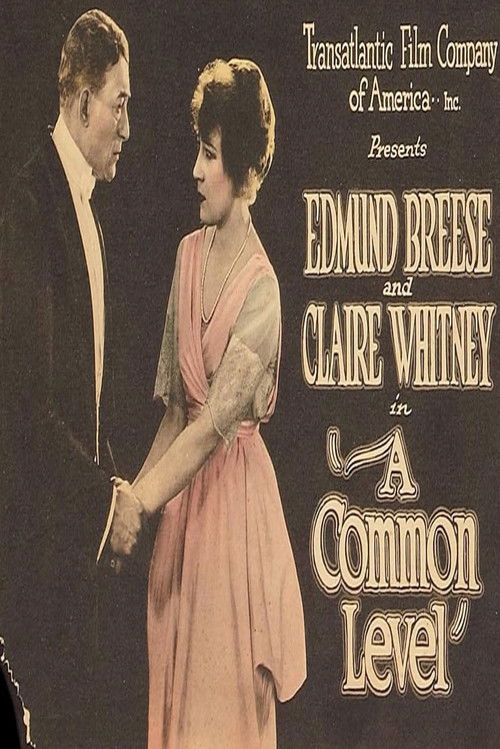 A Common Level (1920) poster