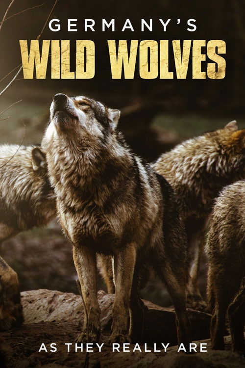 Germany's Wild Wolves - As They Really Are (2019) poster