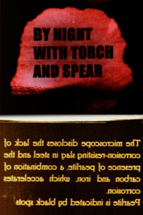 By Night with Torch and Spear (1942) poster