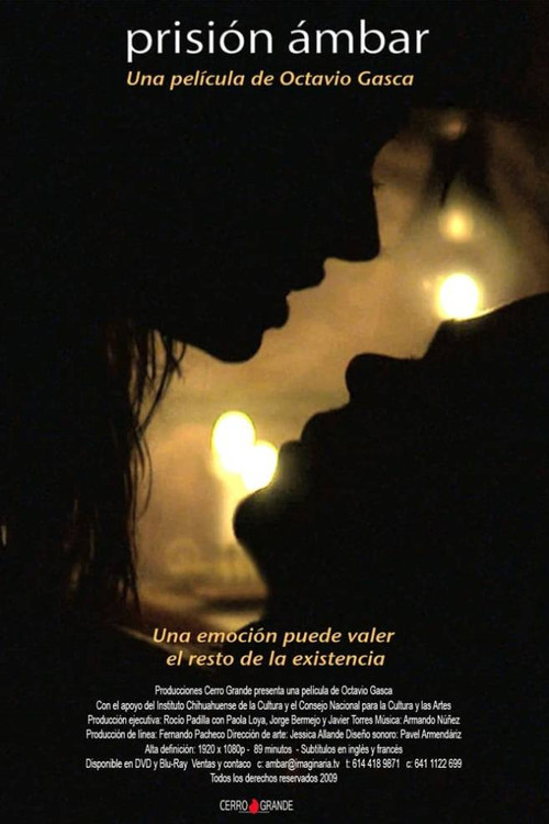 Prisión ámbar (2009) poster