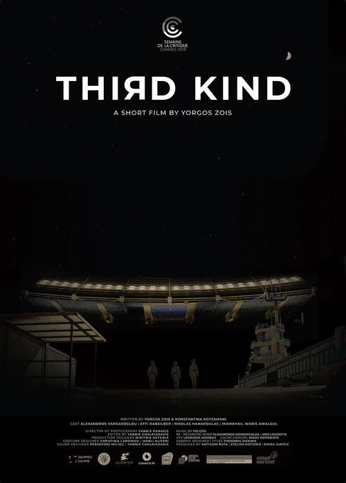 Third Kind (2018) poster