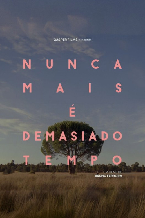 Nunca Mais É Demasiado Tempo (2024) poster