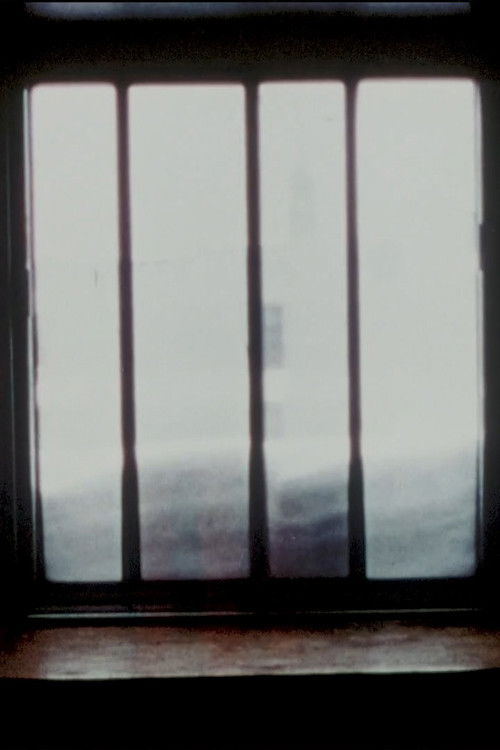 Fenêtres (2008) poster