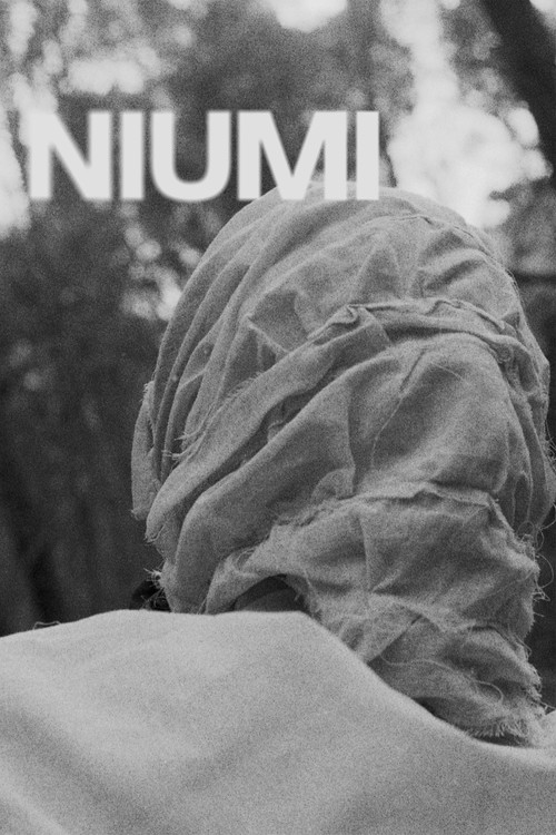 Niumi (2024) poster