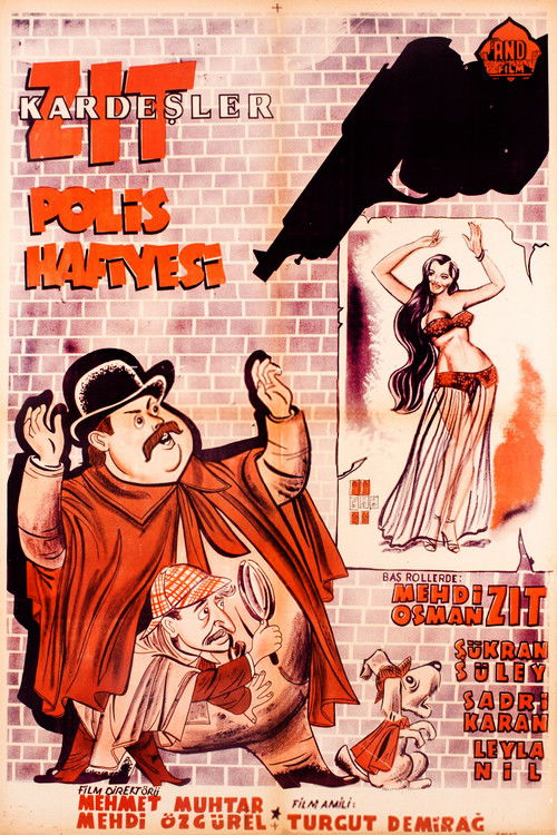 Zıt Kardeşler Polis Hafiyesi (1953) poster