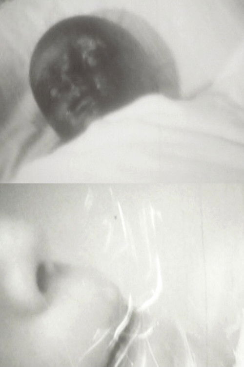 Lazy Virus Of The Afternoon (2011) poster