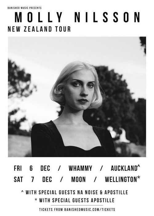 Molly Nilsson "Sweet Smell of Success" poster