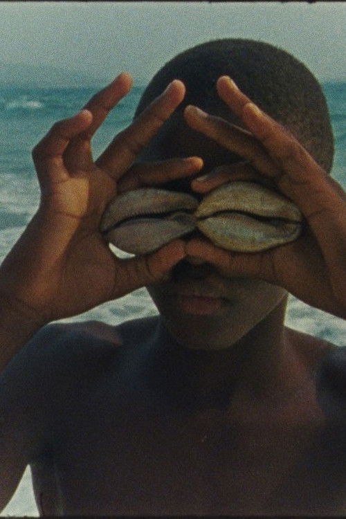 On Freedom of Movement (wi de muv) (2024) poster