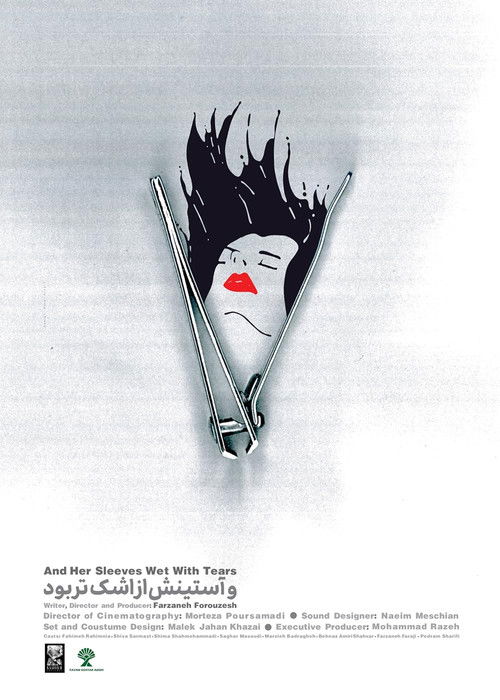 and her sleeve wet with tears (2023) poster