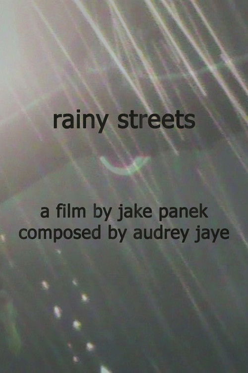 rainy streets (2025) poster