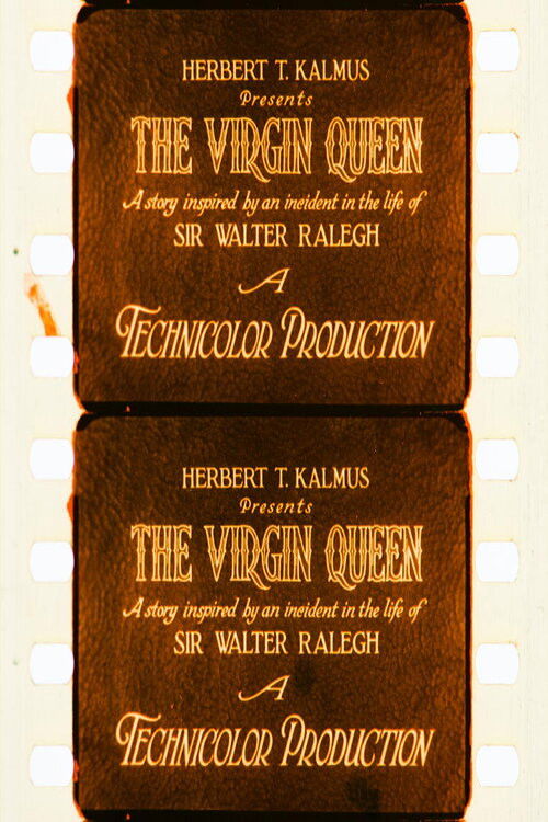 The Virgin Queen (1928) poster