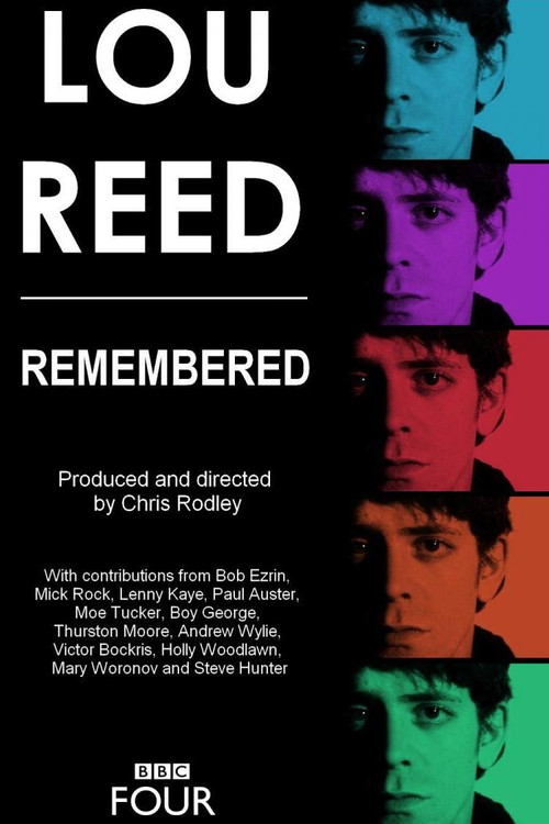Lou Reed - Remembered (2013) poster