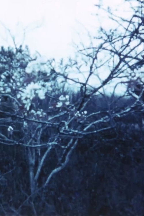 Vineyard I (1967) poster