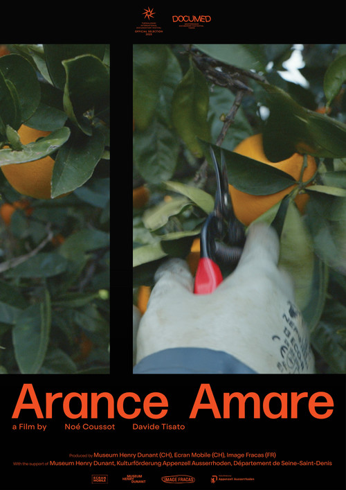 Arance Amare (2025) poster