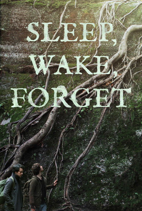 Sleep, Wake, Forget (2024) poster
