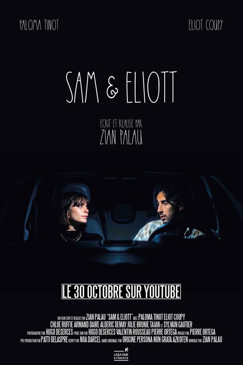 Sam & Eliott (2024) poster