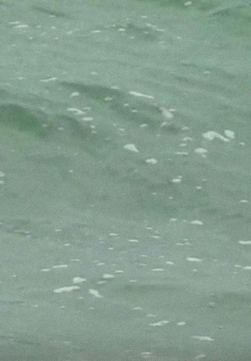 Cape Cod (2018) poster