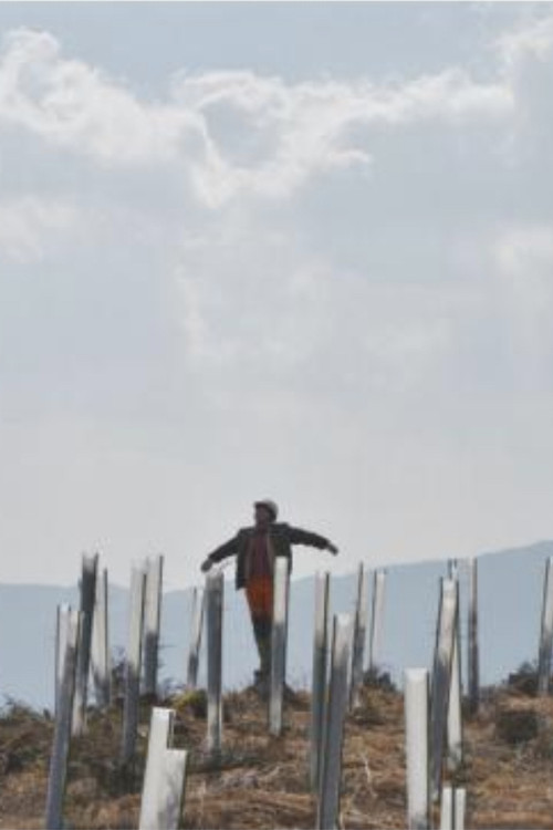 Forestry (2016) poster