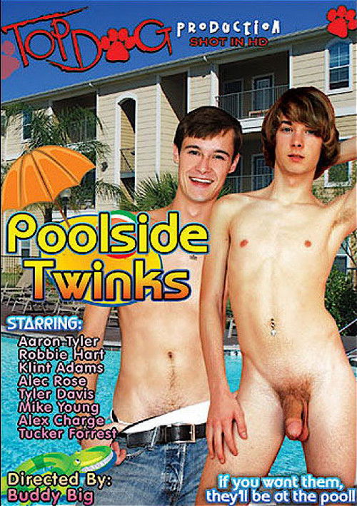 Poolside Twinks (2010) poster