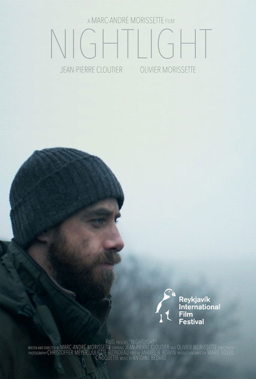 Nightlight (2017) poster