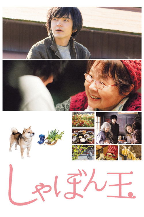 Where I Belong (2017) poster