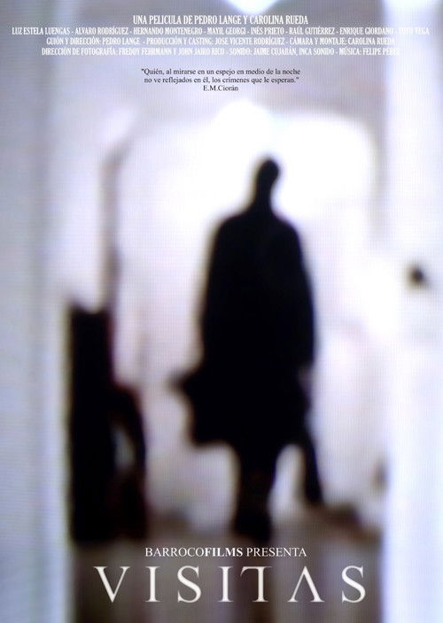 Visitas (2006) poster