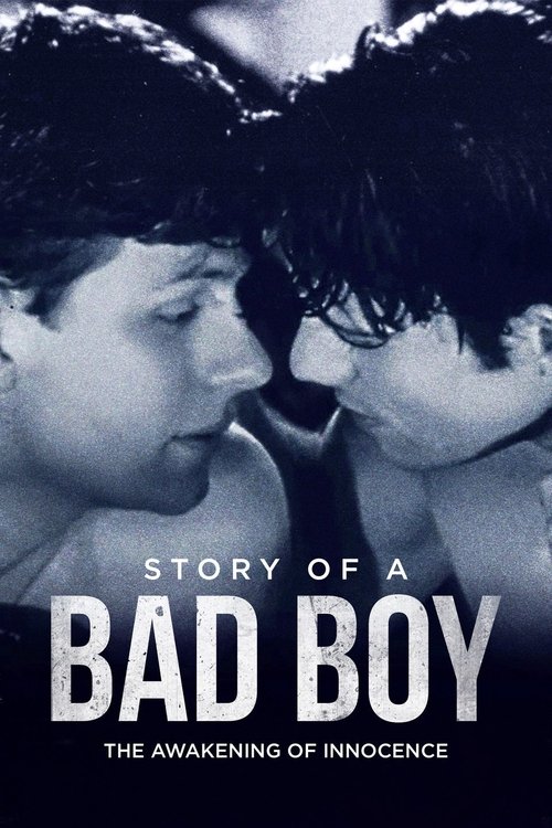 Story of a Bad Boy (2001) poster