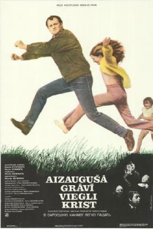 Aizaugušā grāvī viegli krist (1986) poster