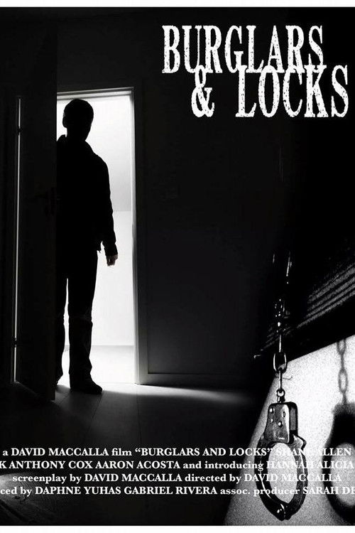 Burglars & Locks poster