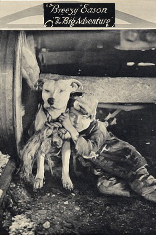 The Big Adventure (1921) poster