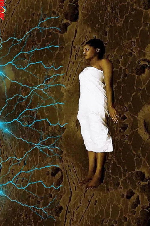 Black Forest 3 (2023) poster