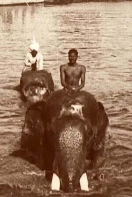 Edward Prince of Wales' Tour of India: Indore, Bhopal, Gwalior and Delhi (1922) poster