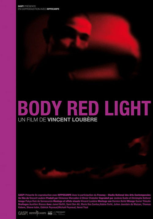 Body Red Light (2014) poster