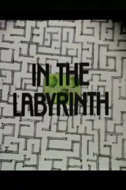 In the Labyrinth (1976) poster